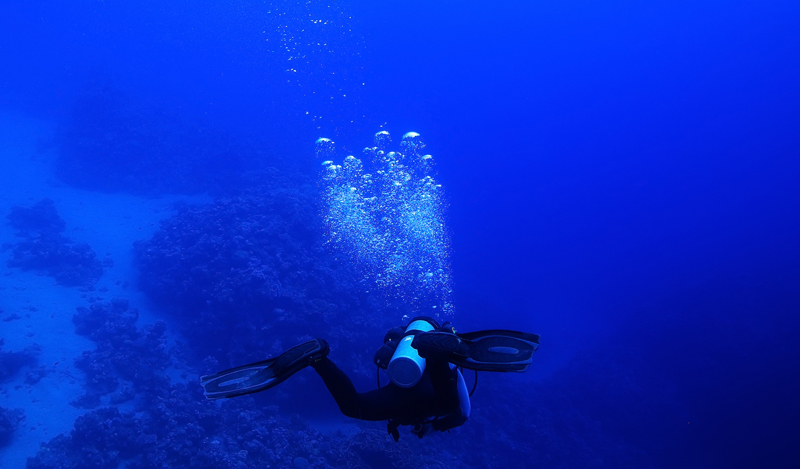Deep Dive | Divemen